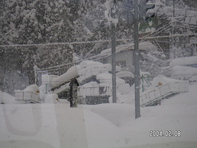 s_PICT0011.jpg
